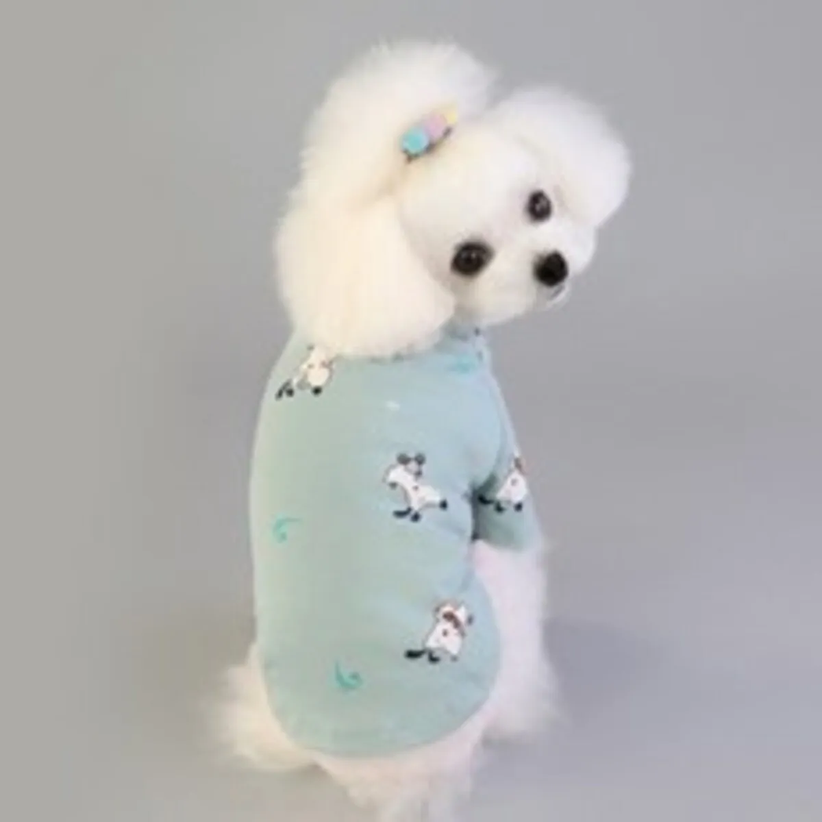 강아지 티셔츠 추천 인기 판매 순위 40위 | 2025년 7월 1주차