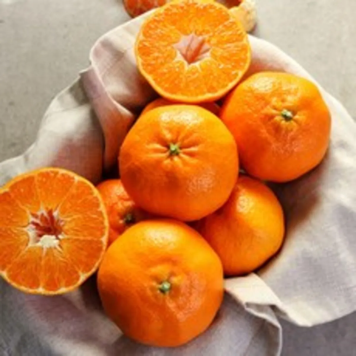 레드향 추천 인기 판매 순위 40위 | 2025년 4월 1주차