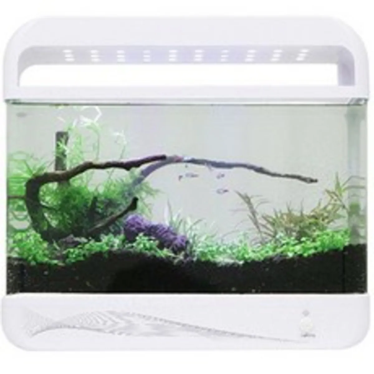 어항 추천 인기 판매 순위 40위 | 2025년 11월 2주차