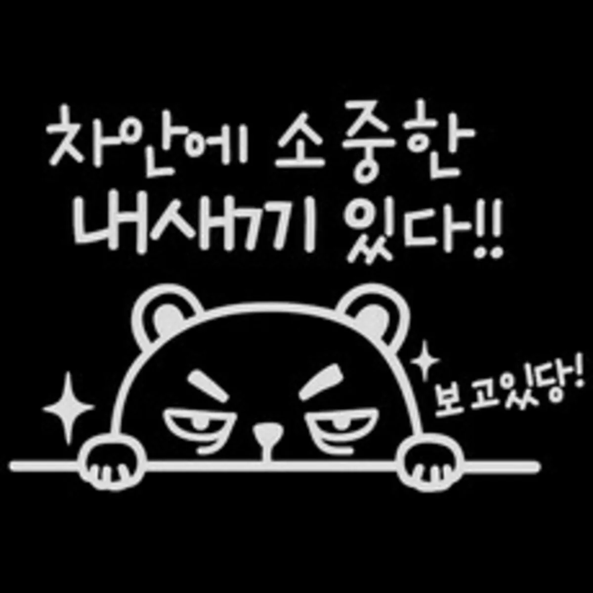 자동차 스티커 추천 인기 판매 순위 40위 | 2025년 4월 4주차