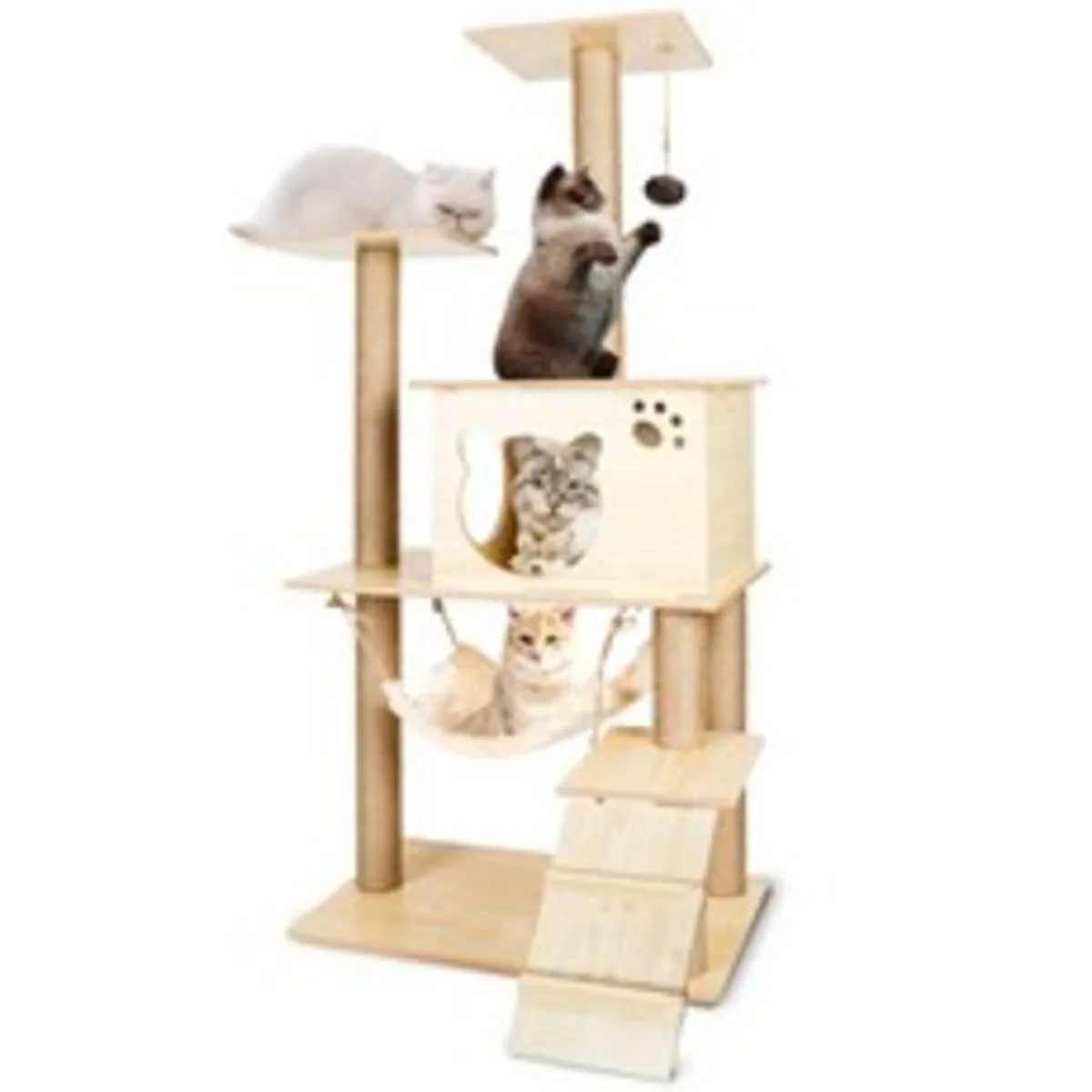 캣타워 추천 인기 판매 순위 77위 | 2025년 2월 3주차