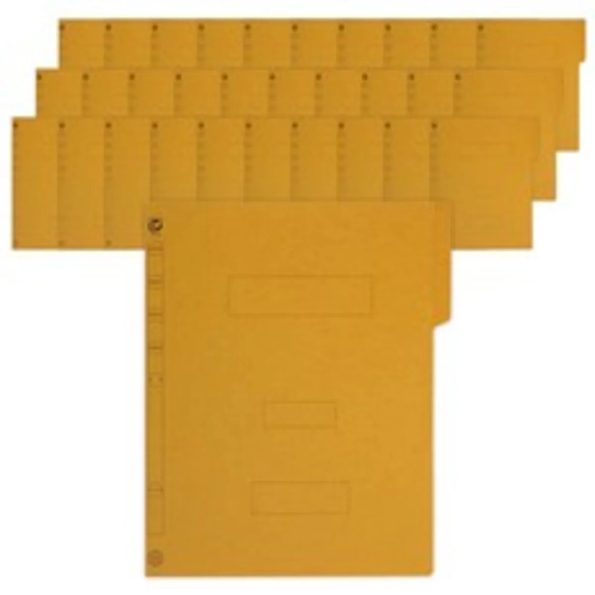 황화일 추천 인기 판매 순위 40위 | 2025년 4월 2주차